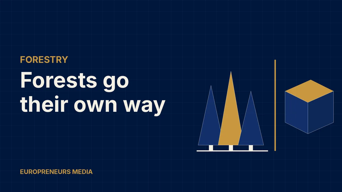 Abstract Europreneurs Media graphic: three stylised conifer trees separated by a gold line from a navy packaging box, symbolising a forest business demerged from a packaging group